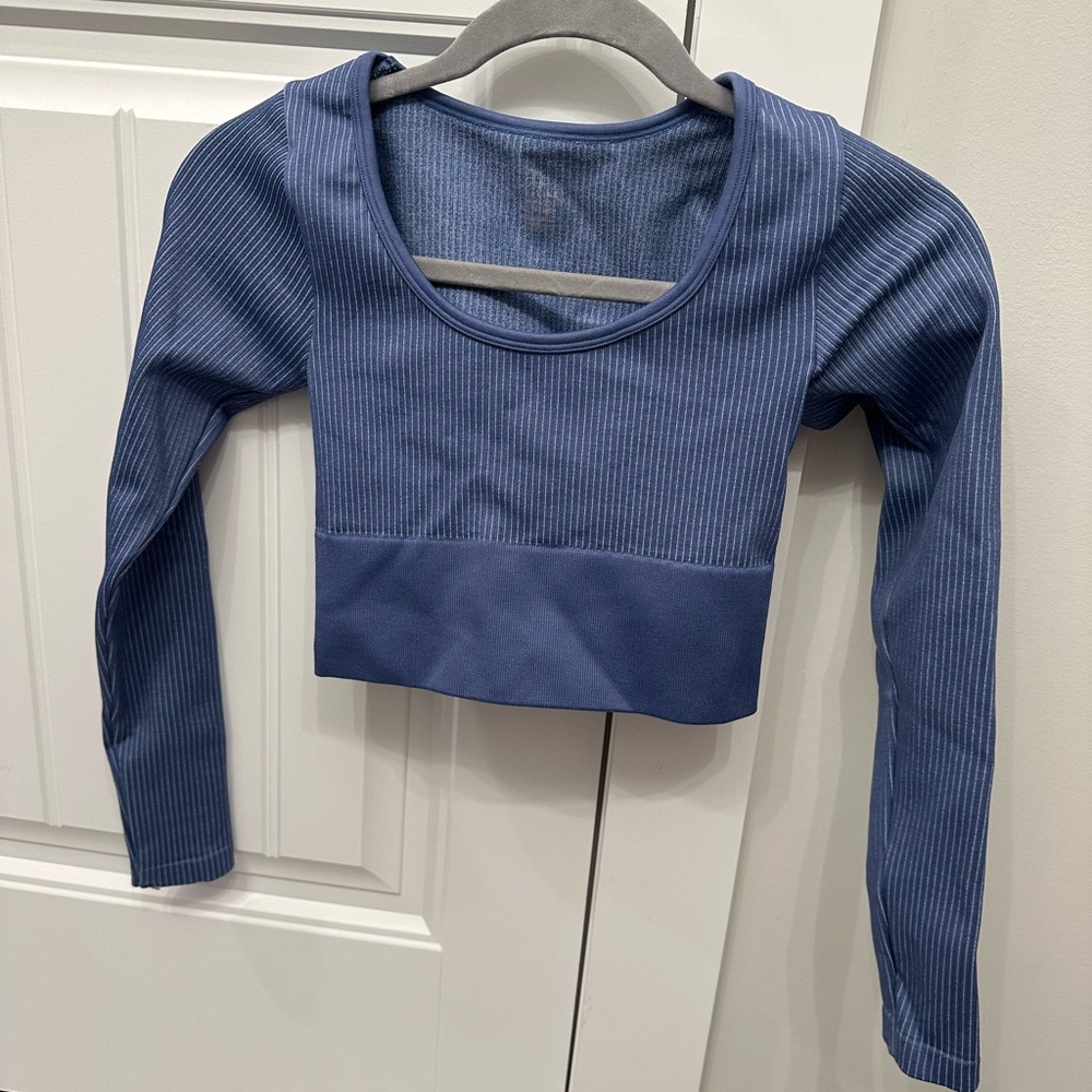 Blue Seamless Long Sleeve Crop Top